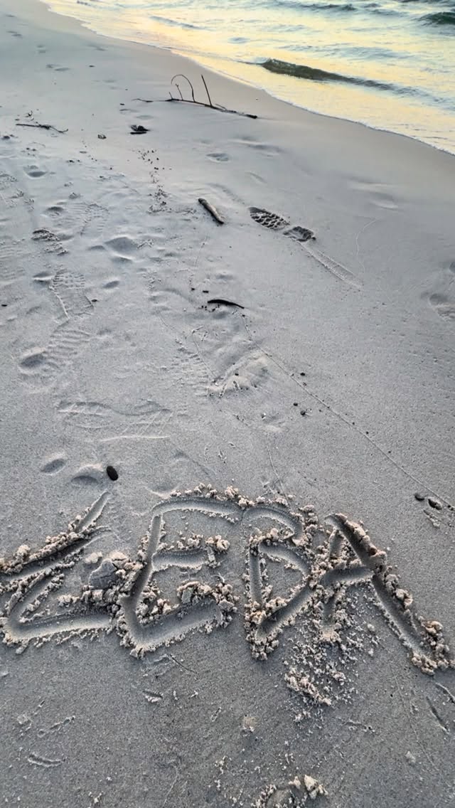 Zachód słońca w Łebie 🌅 
Tam, gdzie niebo spotyka morze, a czas zwalnia tylko dla Ciebie… 
Szum fal, ciepły piasek pod stopami i kolory, których nie odda żaden filtr. 

Tu się oddycha inaczej. 
Tu się wraca – choćby myślami. 

#Łeba #zachódsłońca #polskiemorze #bałtyk #summervibes